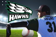 Hawks Baseball Falls to ADK